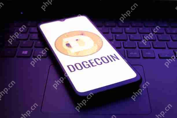Dogecoin的价格似乎一直在反弹